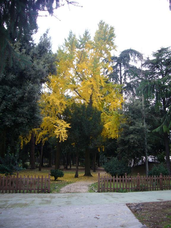 Villa Altieri Albano Laziale Exterior foto